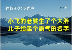 小飞的老婆生了个大胖儿子给起个霸气的名字