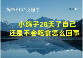 小鸽子28天了自己还是不会吃食怎么回事