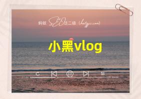 小黑vlog