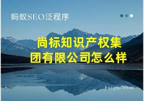 尚标知识产权集团有限公司怎么样