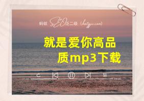 就是爱你高品质mp3下载