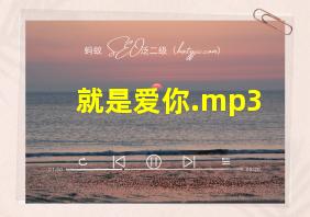 就是爱你.mp3