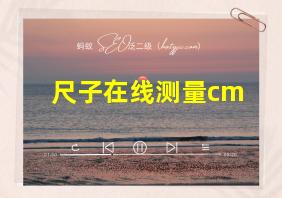 尺子在线测量cm