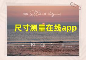 尺寸测量在线app