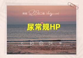 尿常规HP