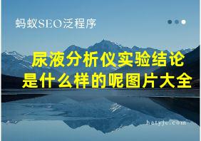 尿液分析仪实验结论是什么样的呢图片大全