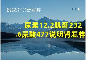 尿素12.2肌酐232.6尿酸477说明肾怎样