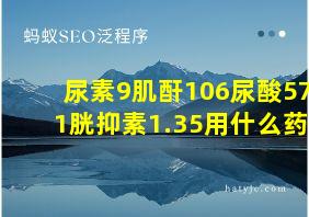 尿素9肌酐106尿酸571胱抑素1.35用什么药