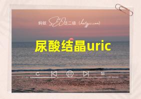 尿酸结晶uric