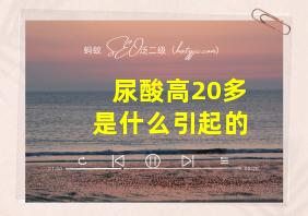 尿酸高20多是什么引起的