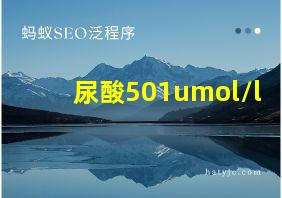 尿酸501umol/l