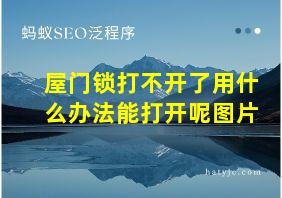 屋门锁打不开了用什么办法能打开呢图片