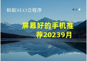 屏幕好的手机推荐20239月