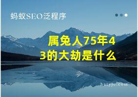 属兔人75年43的大劫是什么