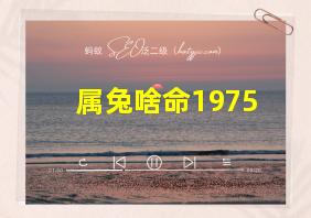 属兔啥命1975