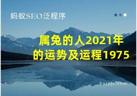 属兔的人2021年的运势及运程1975