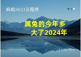 属兔的今年多大了2024年