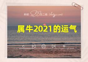 属牛2021的运气