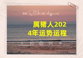 属猪人2024年运势运程