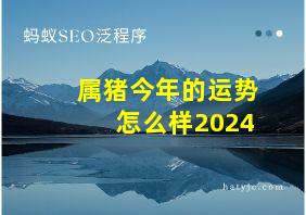 属猪今年的运势怎么样2024