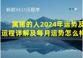 属猪的人2024年运势及运程详解及每月运势怎么样