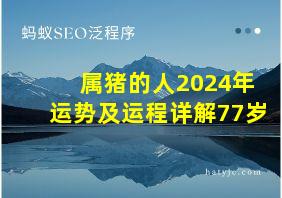 属猪的人2024年运势及运程详解77岁