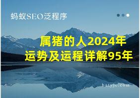 属猪的人2024年运势及运程详解95年