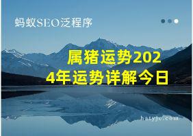 属猪运势2024年运势详解今日