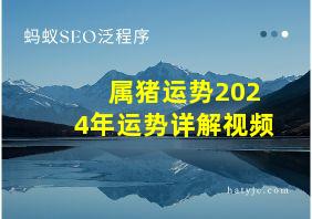 属猪运势2024年运势详解视频