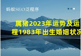 属猪2023年运势及运程1983年出生婚姻状况