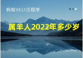 属羊人2022年多少岁