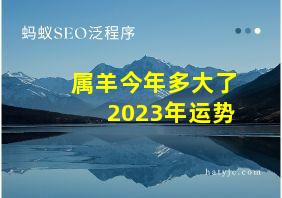 属羊今年多大了2023年运势