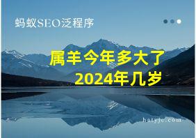 属羊今年多大了2024年几岁