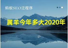 属羊今年多大2020年