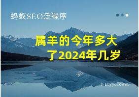 属羊的今年多大了2024年几岁