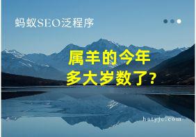 属羊的今年多大岁数了?