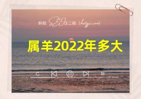 属羊2022年多大