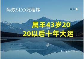 属羊43岁2020以后十年大运