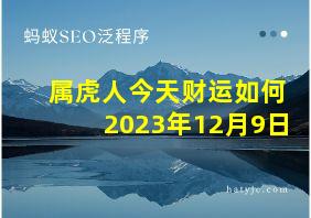 属虎人今天财运如何2023年12月9日