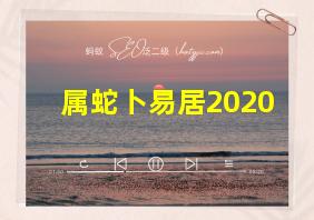 属蛇卜易居2020