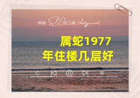 属蛇1977年住楼几层好