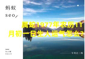 属蛇1977年农历11月初一日生人运气怎么?