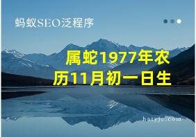 属蛇1977年农历11月初一日生