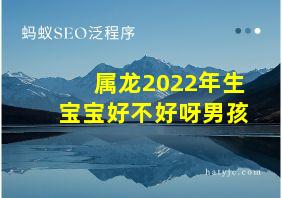 属龙2022年生宝宝好不好呀男孩