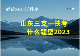 山东三支一扶考什么题型2023