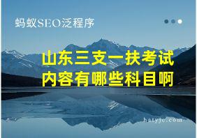 山东三支一扶考试内容有哪些科目啊