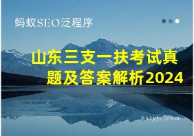 山东三支一扶考试真题及答案解析2024