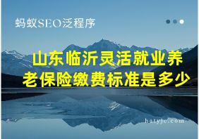 山东临沂灵活就业养老保险缴费标准是多少