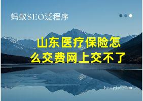 山东医疗保险怎么交费网上交不了