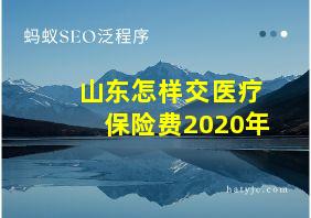 山东怎样交医疗保险费2020年